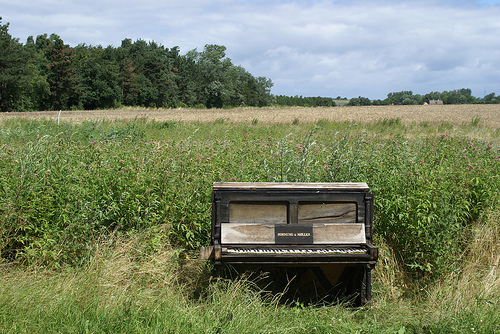 field-piano