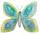 butterfly1